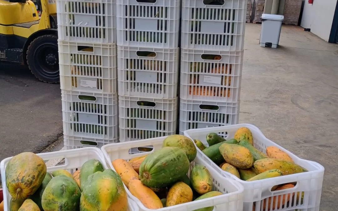 Vista Alegre do Alto – SP