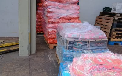 Santa Juliana – MG