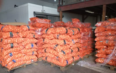 Santa Juliana – MG