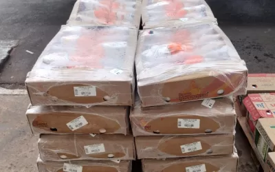 Nova Aliança – SP