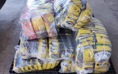 Nova Independência – SP