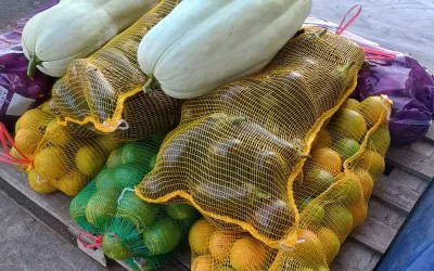 Aparecida de Monte Alto (SP)