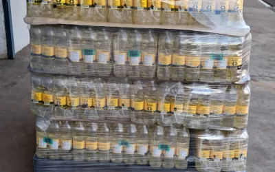 Ribeirão Preto (SP)