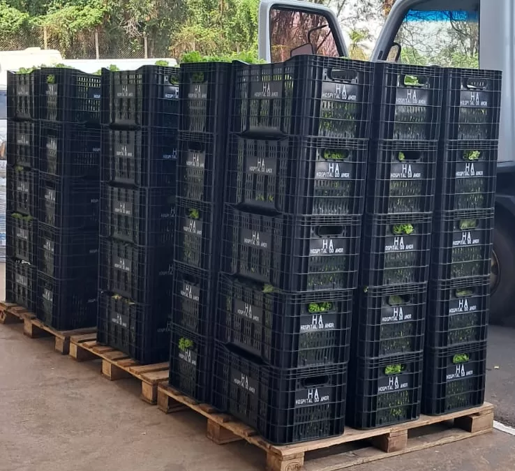 Vista Alegre do Alto (SP)