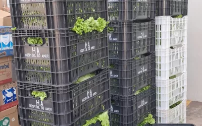 Monte Verde Paulista (SP)