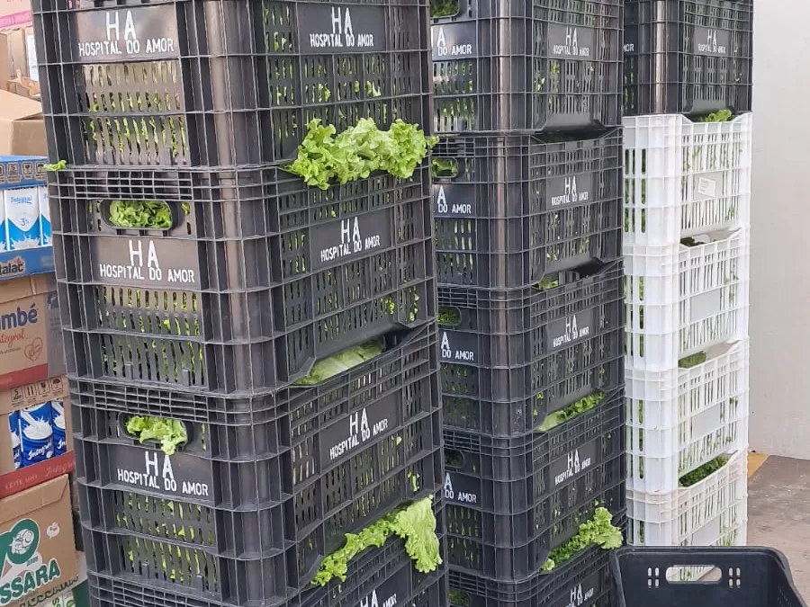 Monte Verde Paulista (SP)