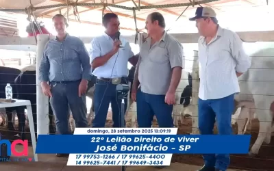 José Bonifácio (SP)