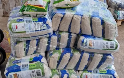 Ribeirão Preto (SP)