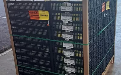 Boa Esperança Petrolina (PE)