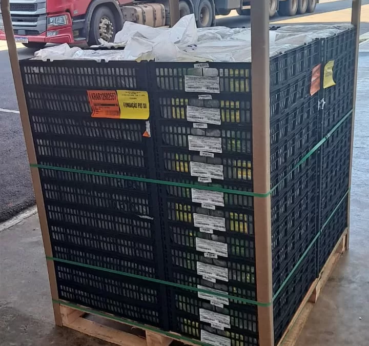 Boa Esperança Petrolina (PE)