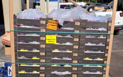 Boa Esperança Petrolina (PE)