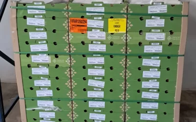 Boa Esperança Petrolina (PE)