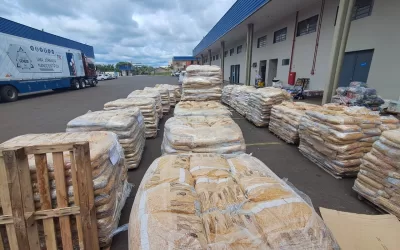 Santa Fé do Sul (SP)