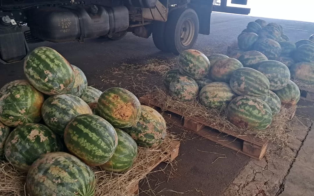 Vista Alegre do Alto (SP)